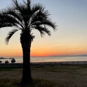 相変わらず綺麗な夕陽が本日も見れました♪︎
