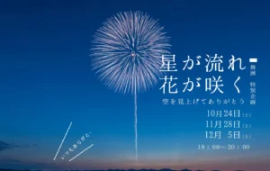 【開催延期のお知らせ】【3日間だけの特別企画！】”流れ星HANABI☆”開催︎